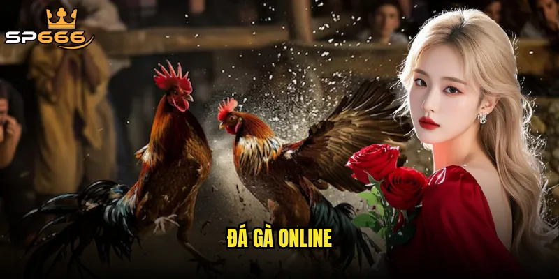 Đá gà online Sp666 có đang thay thế hoàn toàn hình thức cá cược truyền thống? 7 đá gà online