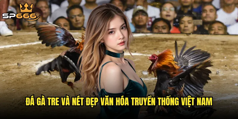 Đá gà tre và nét đẹp văn hóa truyền thống Việt Nam
